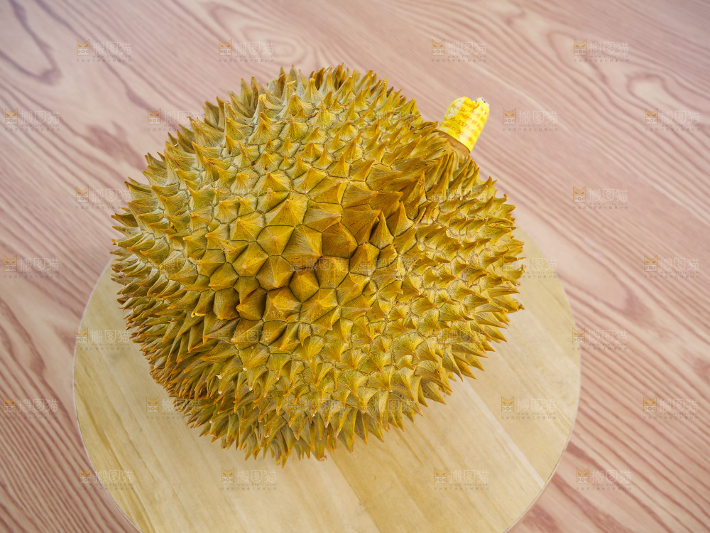 金枕榴莲