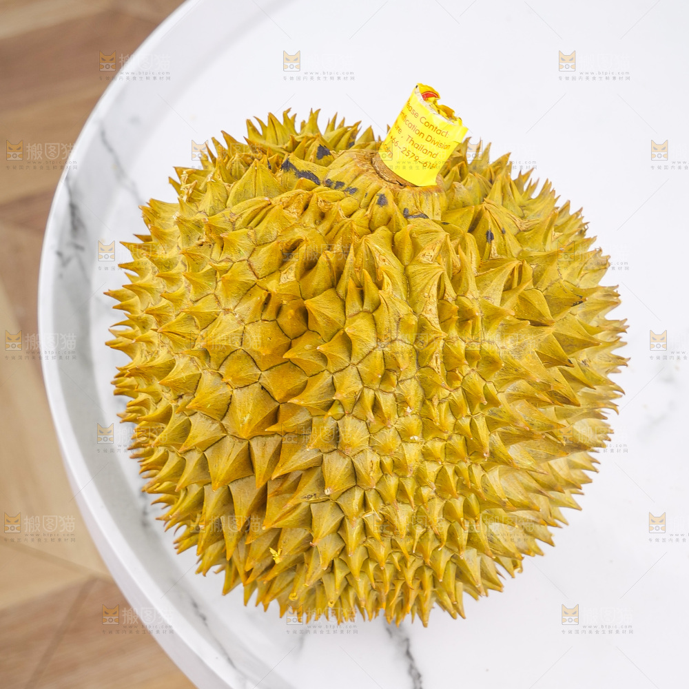 金枕榴莲