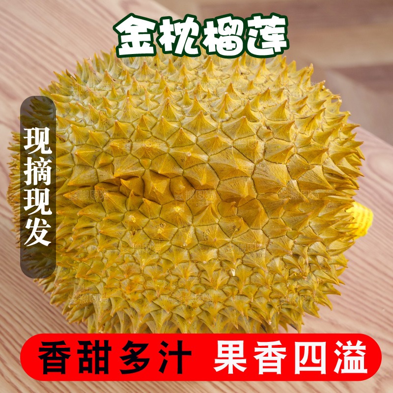 金枕榴莲