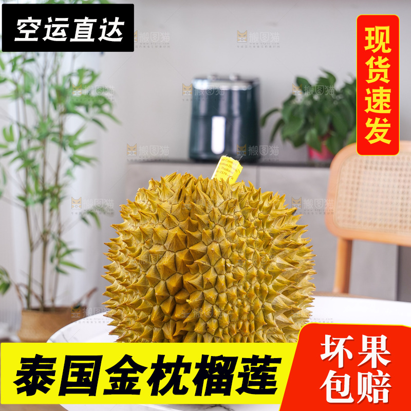 金枕榴莲