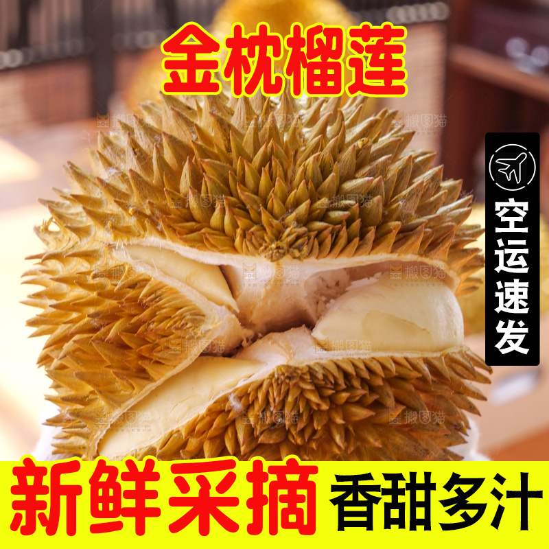 金枕榴莲