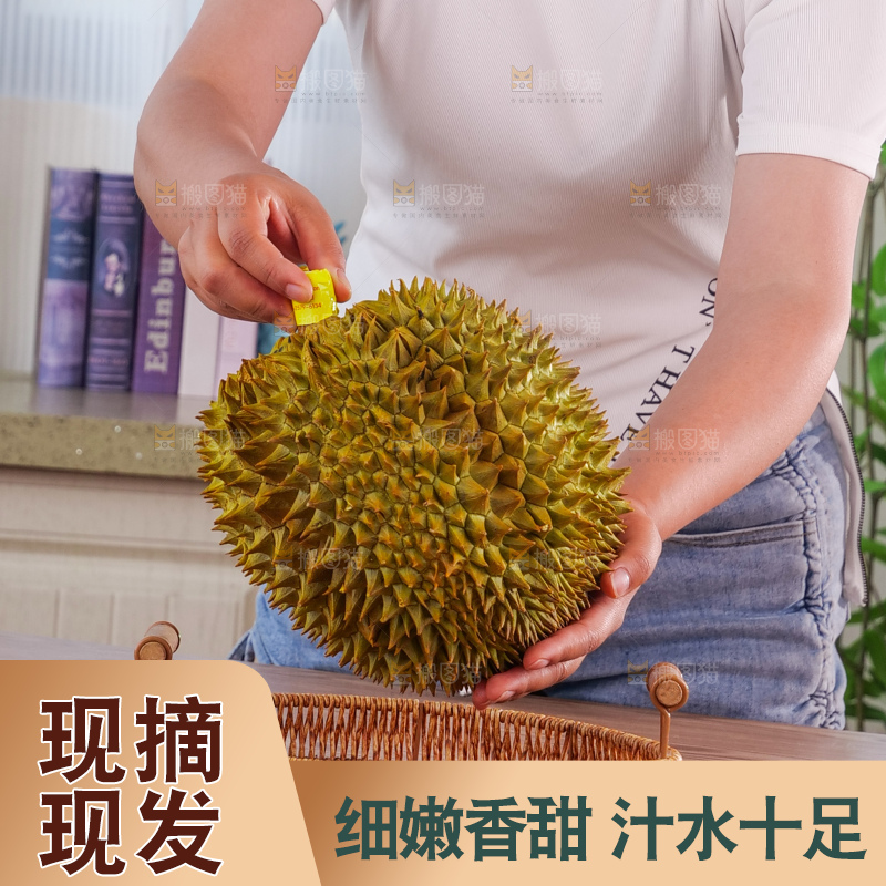 金枕榴莲