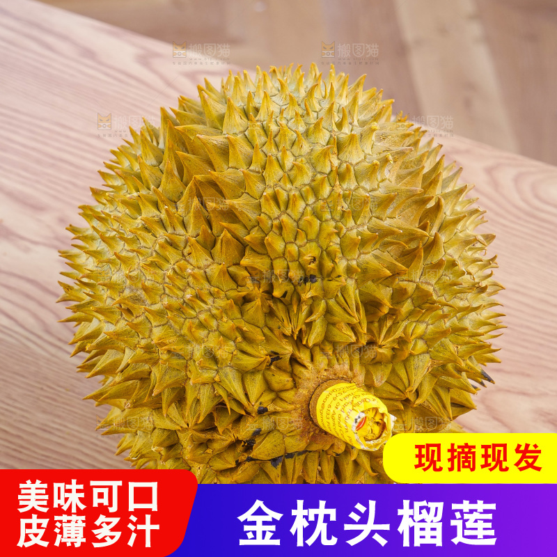 金枕榴莲