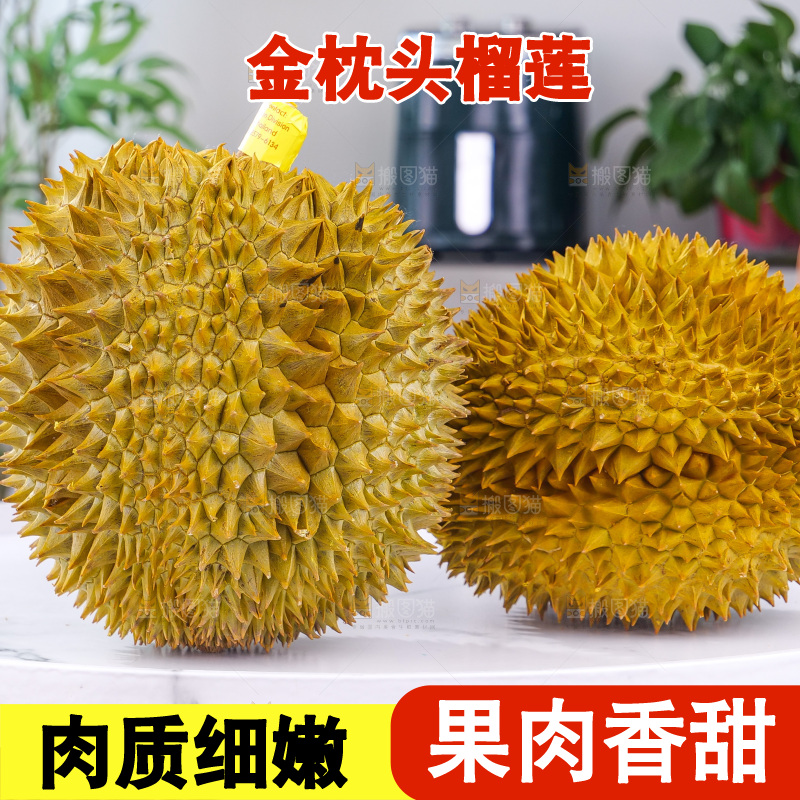 金枕榴莲