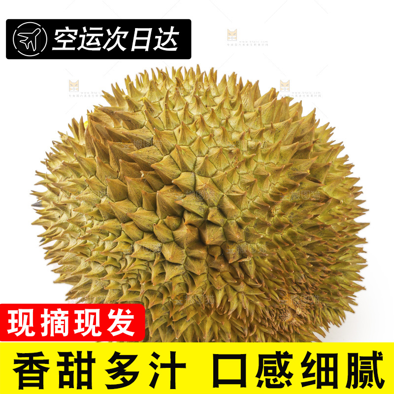 金枕榴莲