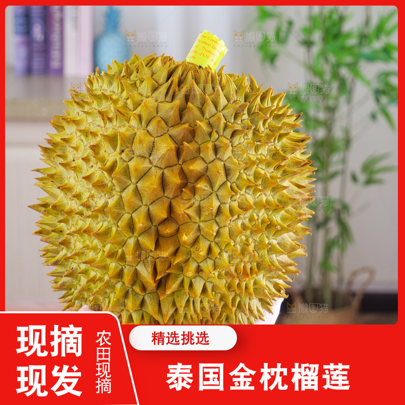 金枕榴莲