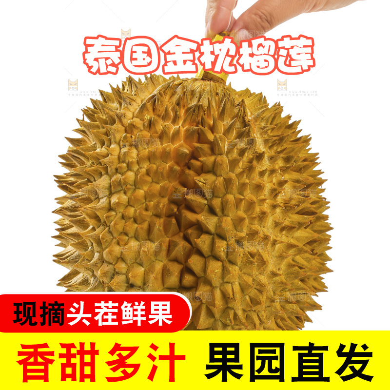 金枕榴莲