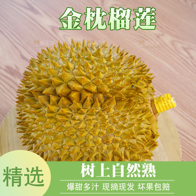 金枕榴莲