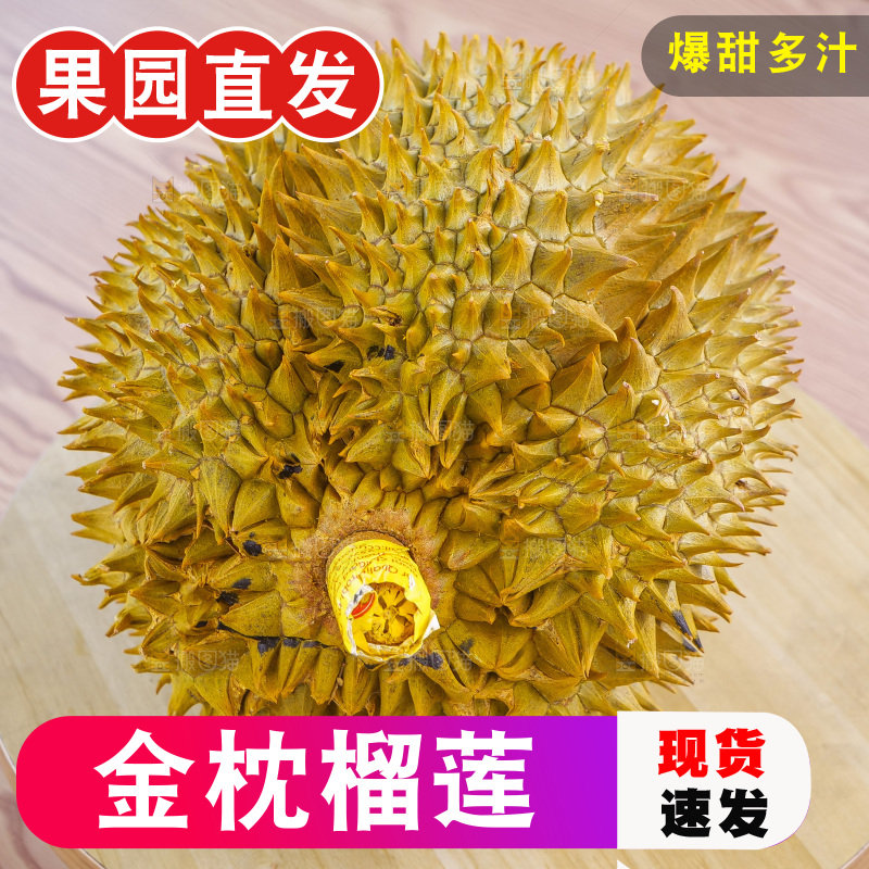 金枕榴莲