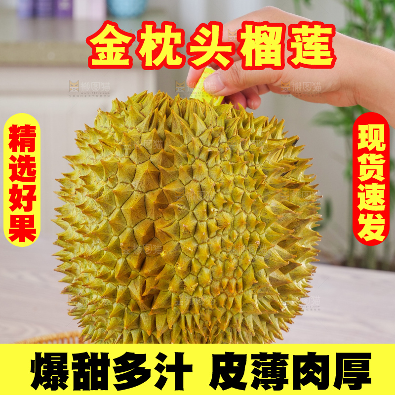 金枕榴莲