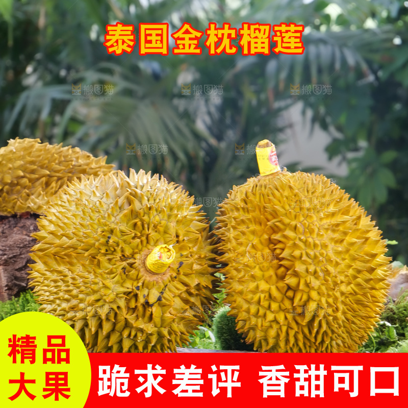 金枕榴莲