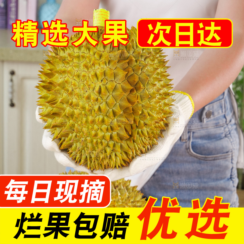 金枕榴莲