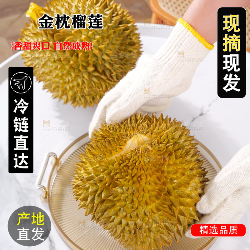 金枕榴莲