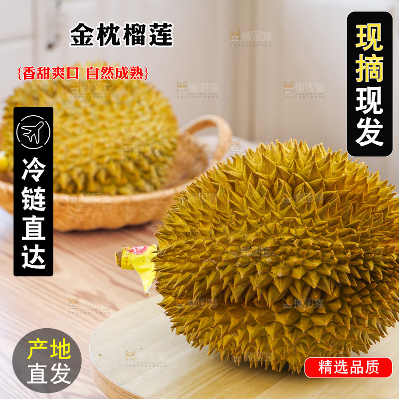 金枕榴莲