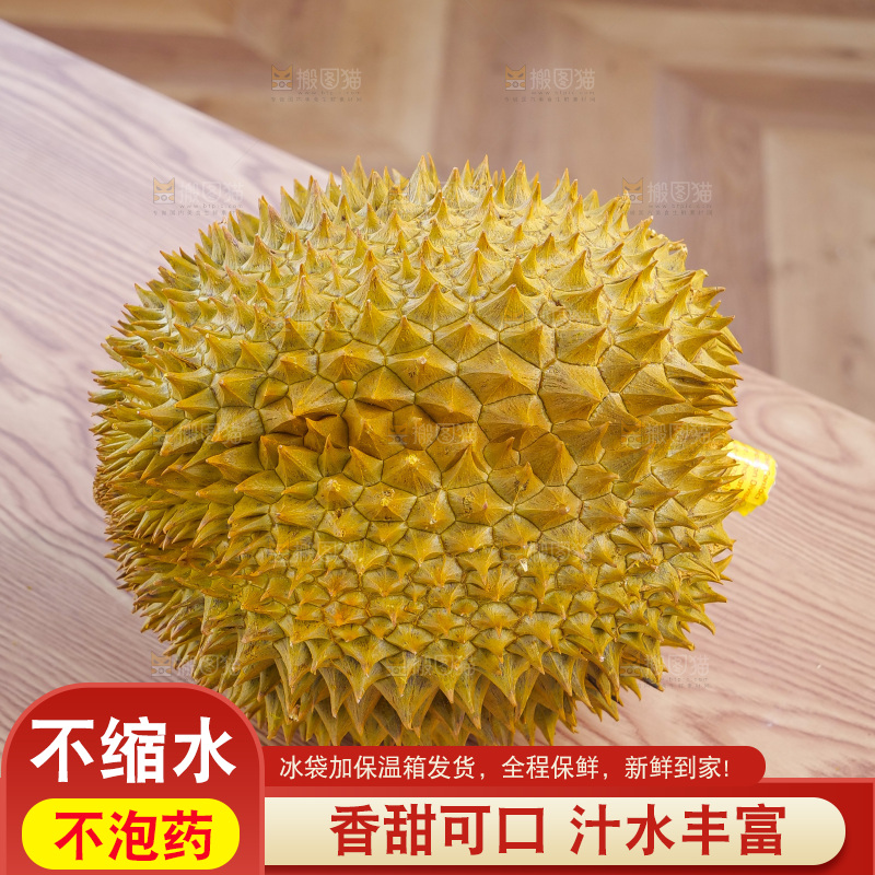 金枕榴莲
