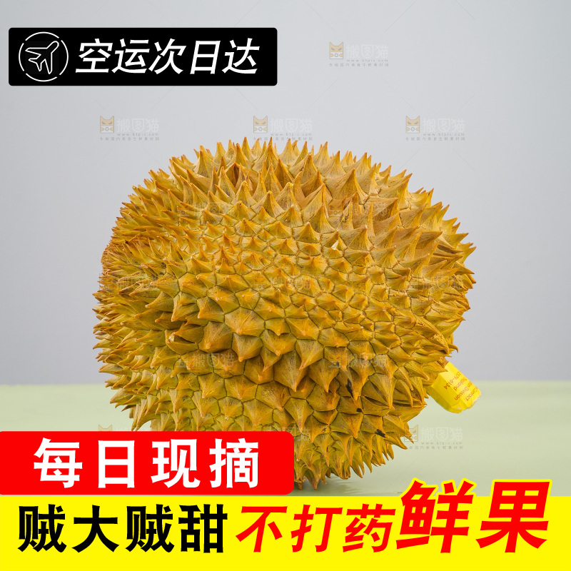 金枕榴莲
