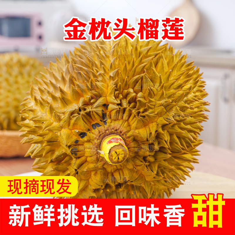 金枕榴莲