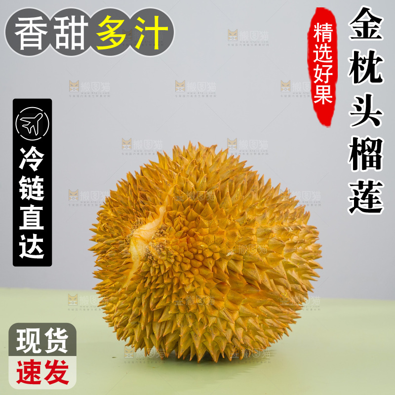 金枕榴莲