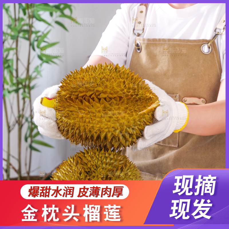 金枕榴莲