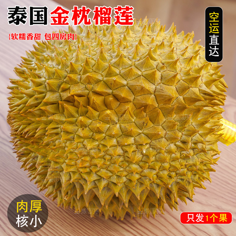 金枕榴莲