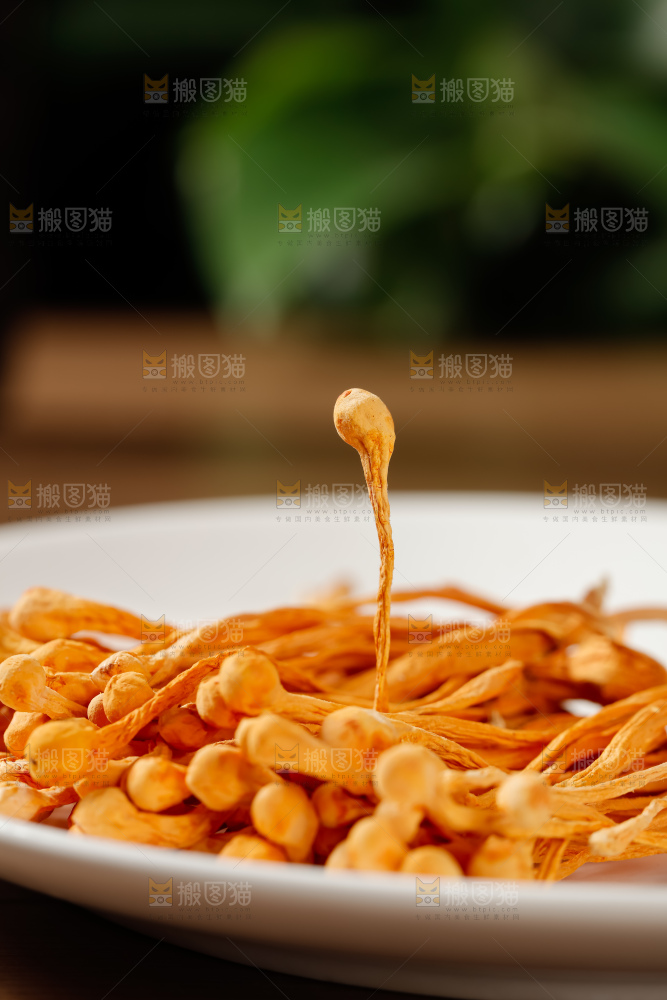 虫草花