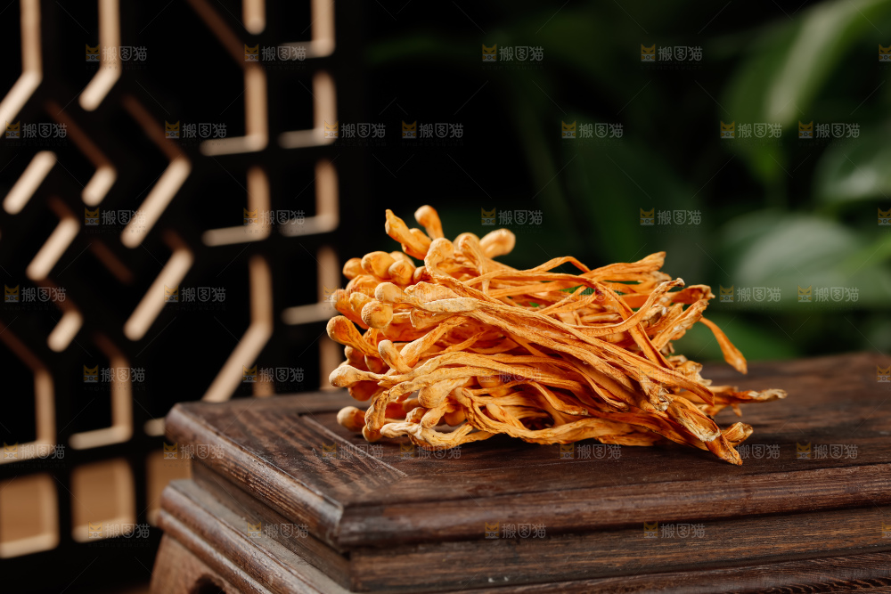 虫草花