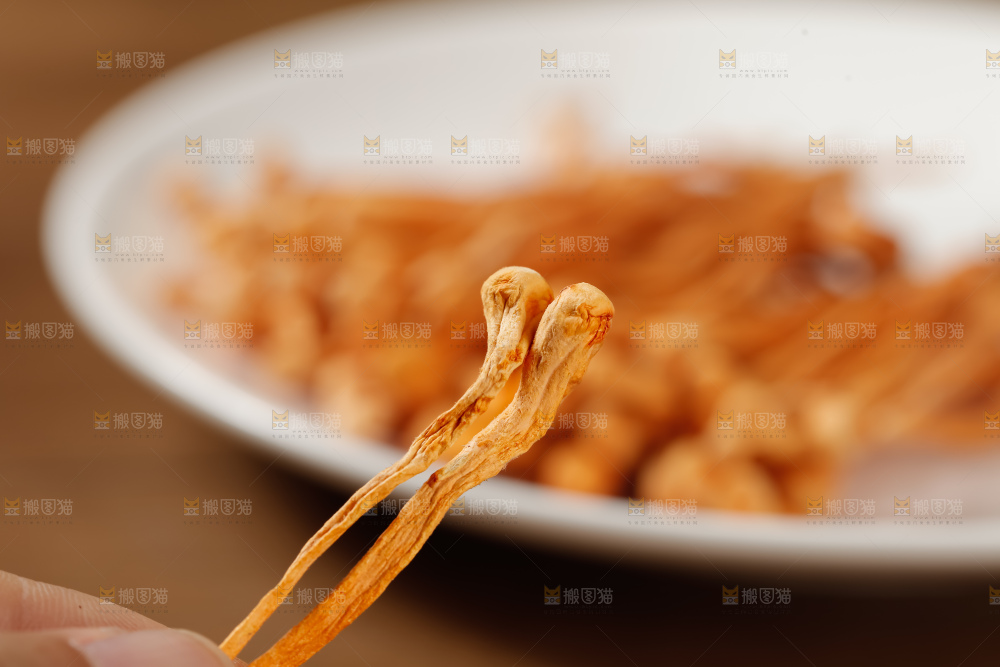 虫草花
