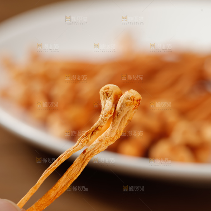 虫草花