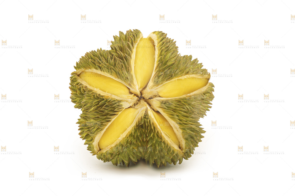 金枕榴莲