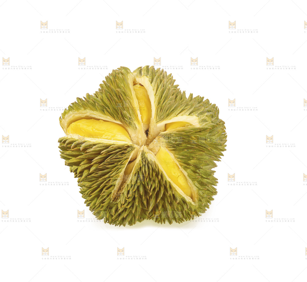 金枕榴莲