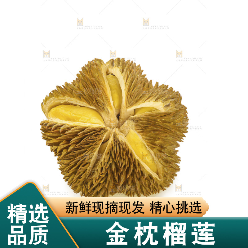 金枕榴莲