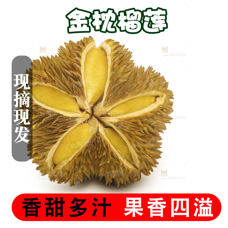 金枕榴莲