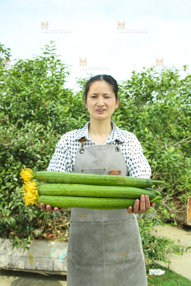 丝瓜