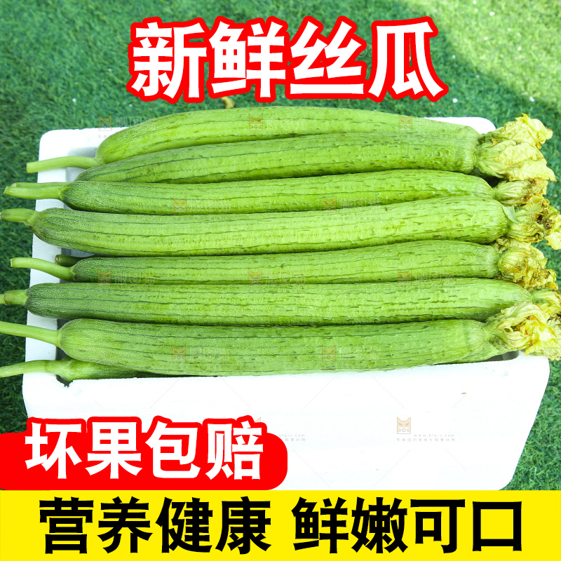 丝瓜