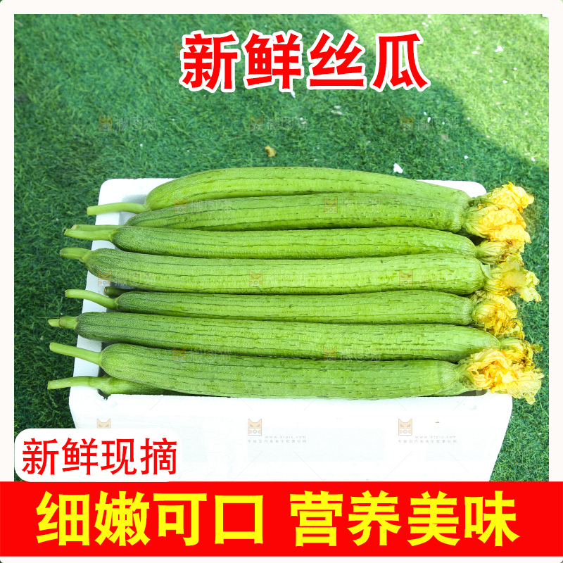 丝瓜
