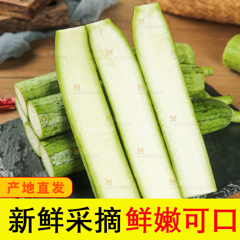 丝瓜