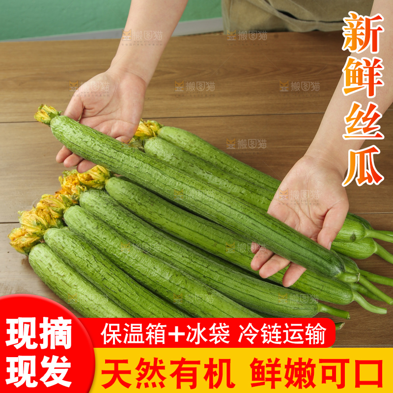 丝瓜