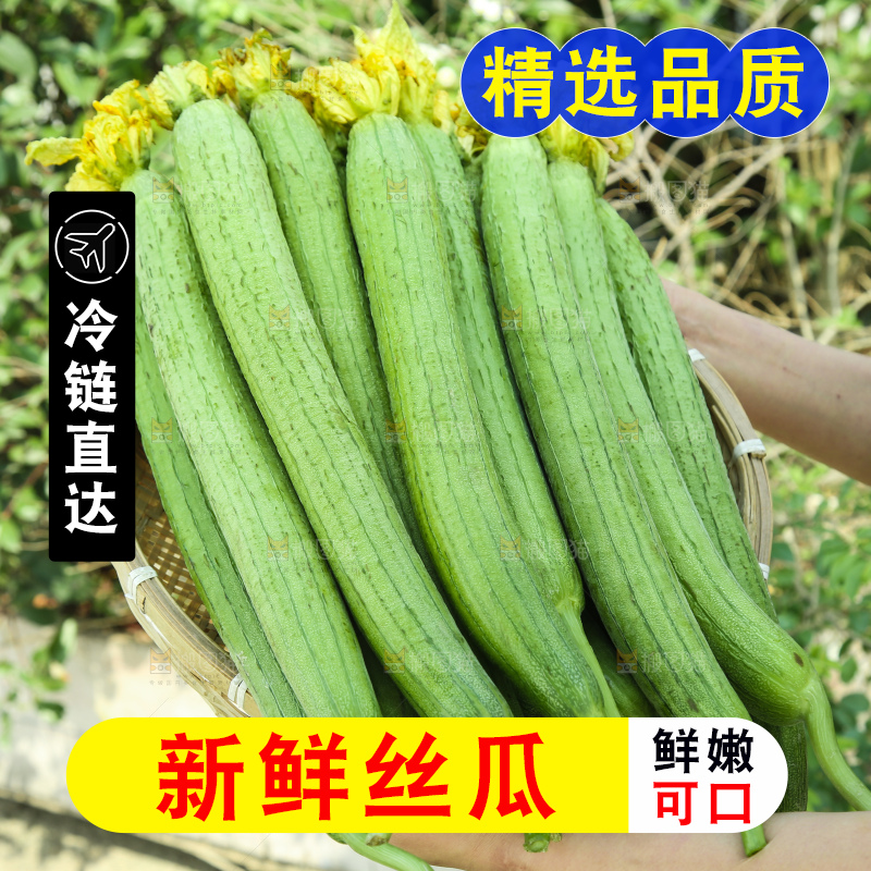 丝瓜
