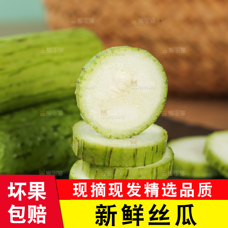 丝瓜