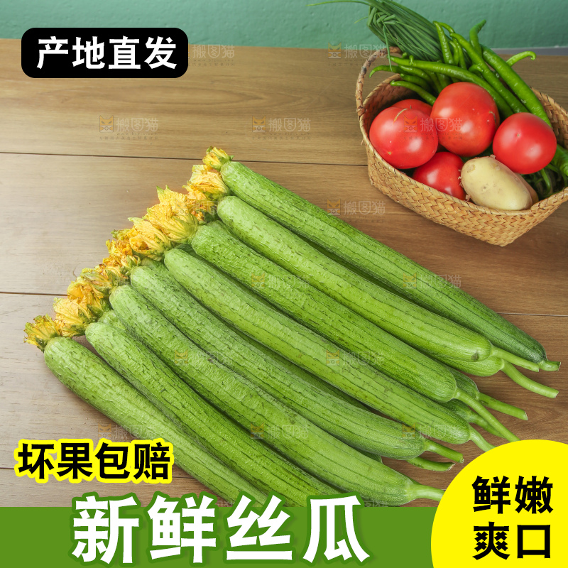丝瓜