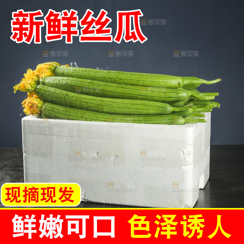 丝瓜
