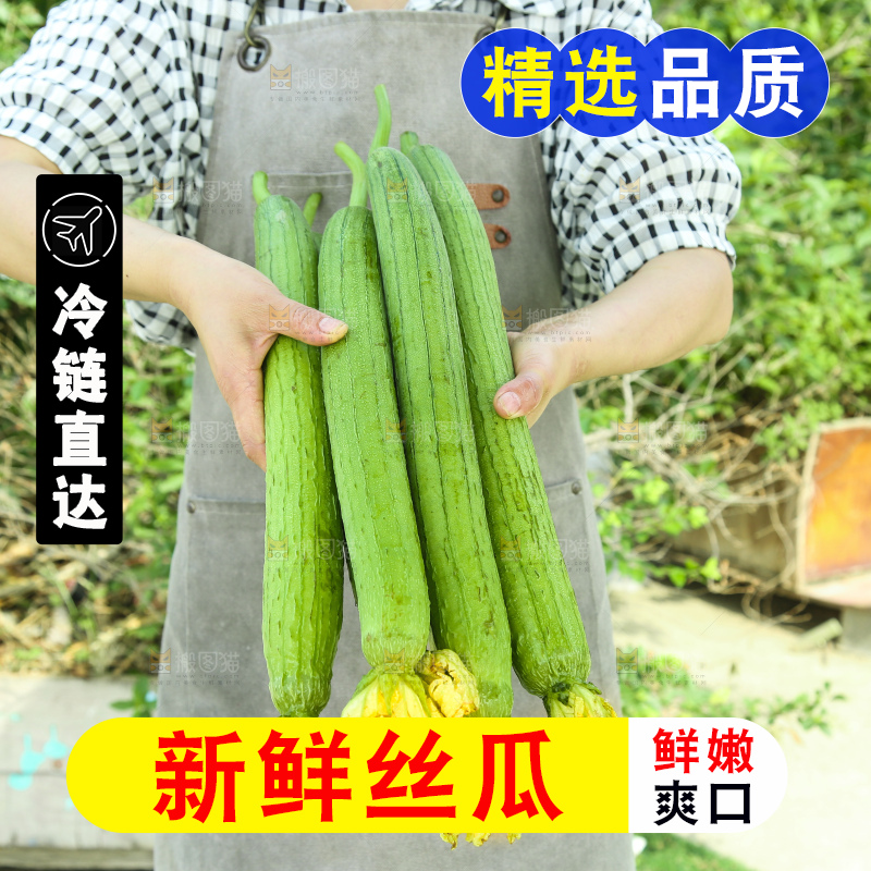 丝瓜