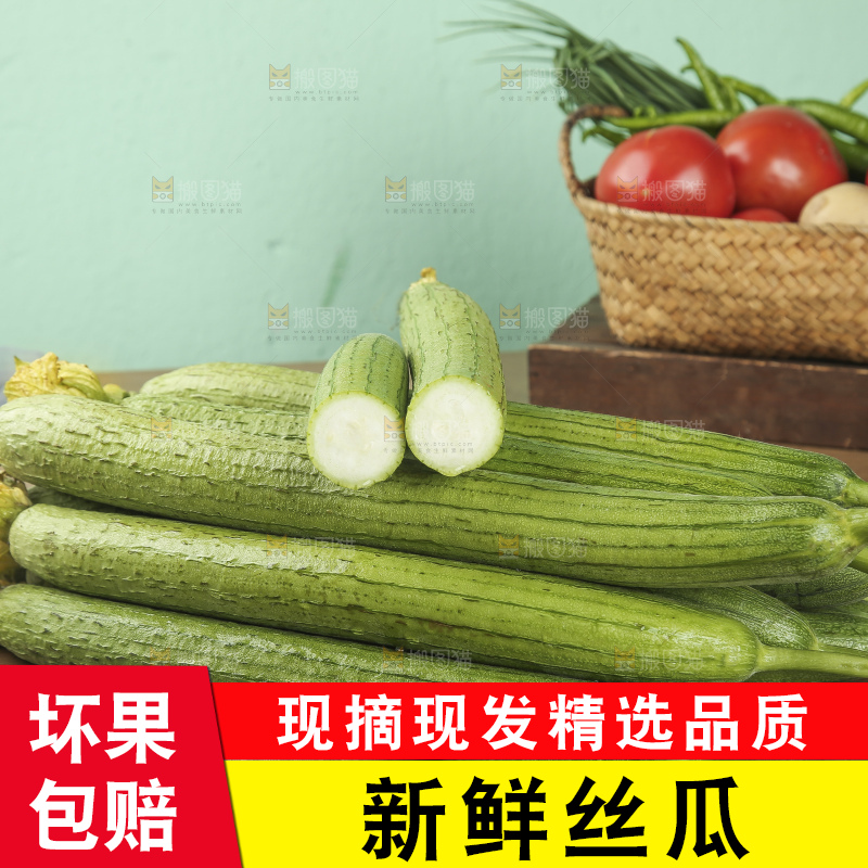 丝瓜