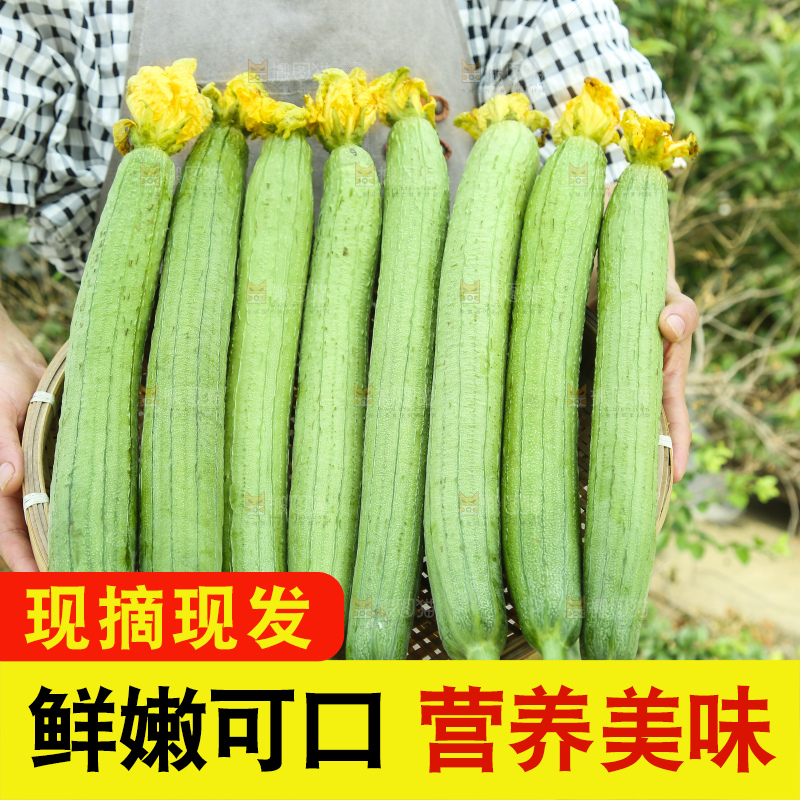 丝瓜