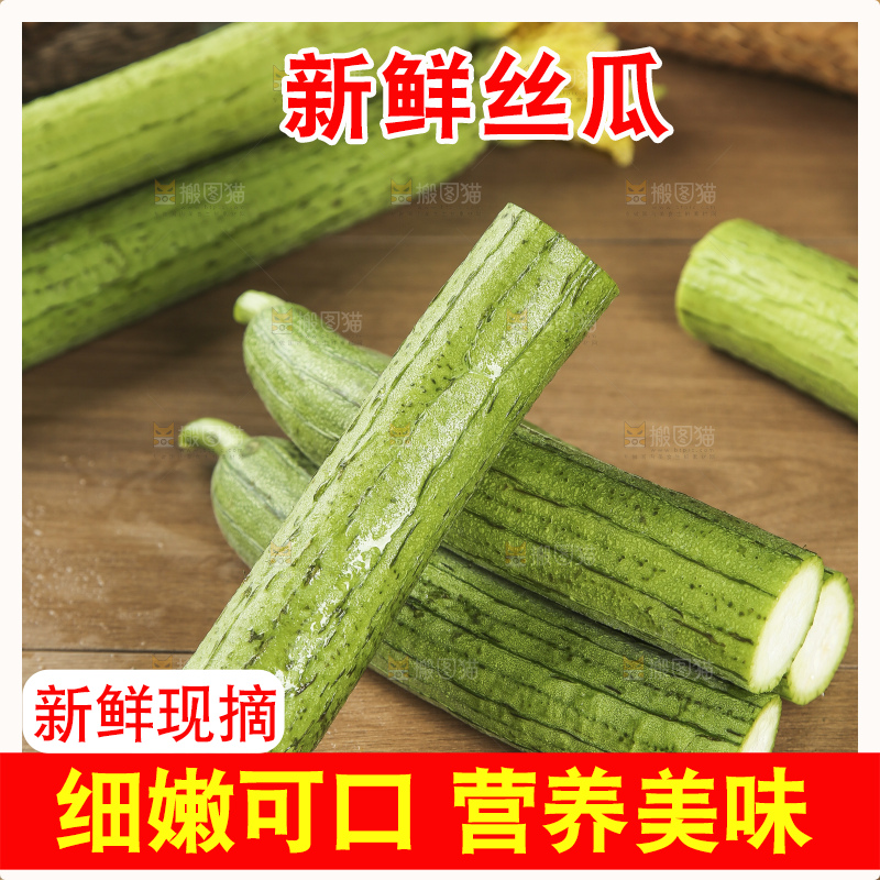 丝瓜