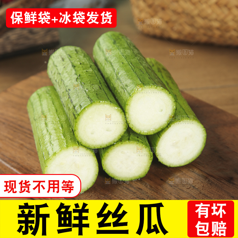 丝瓜
