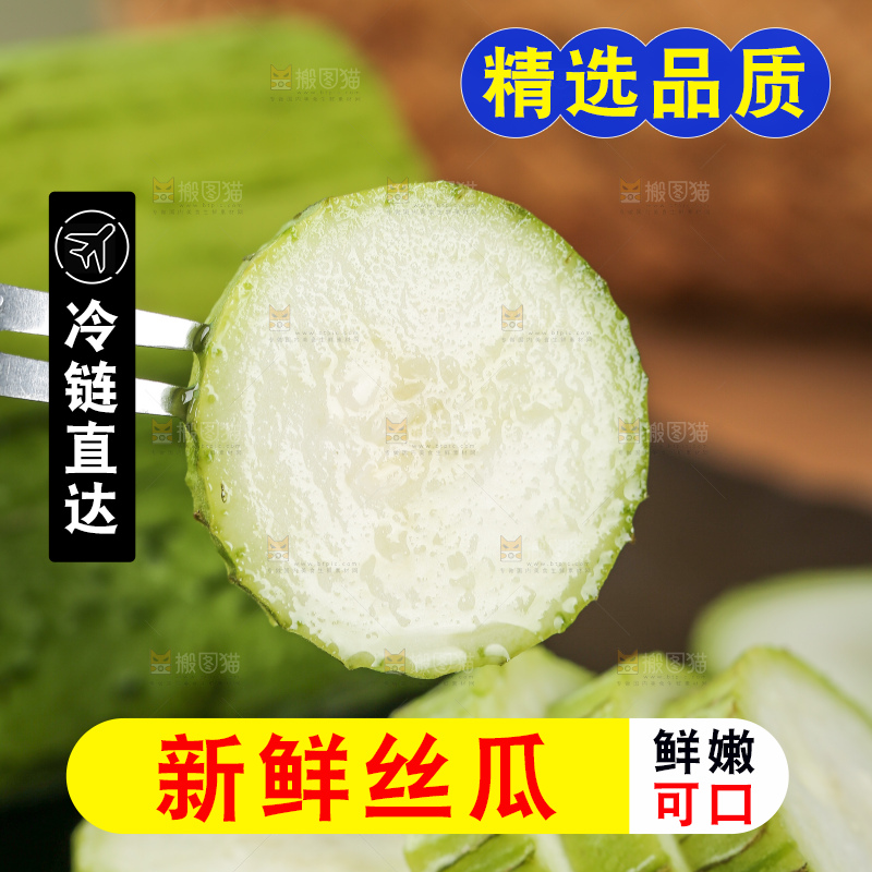 丝瓜