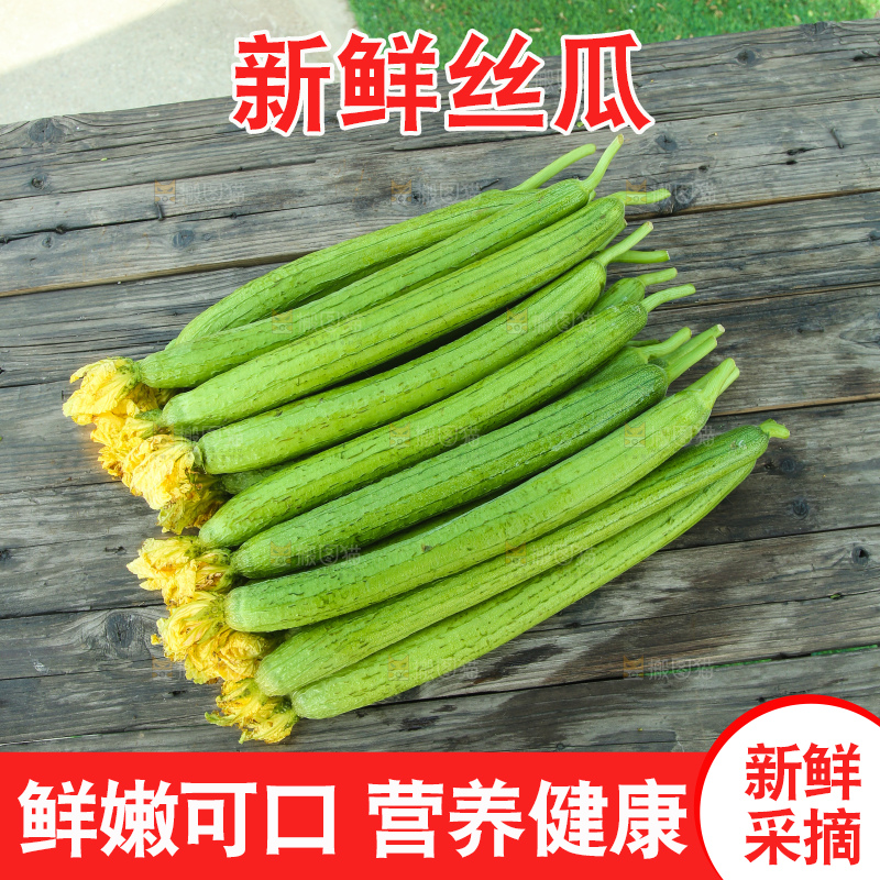 丝瓜