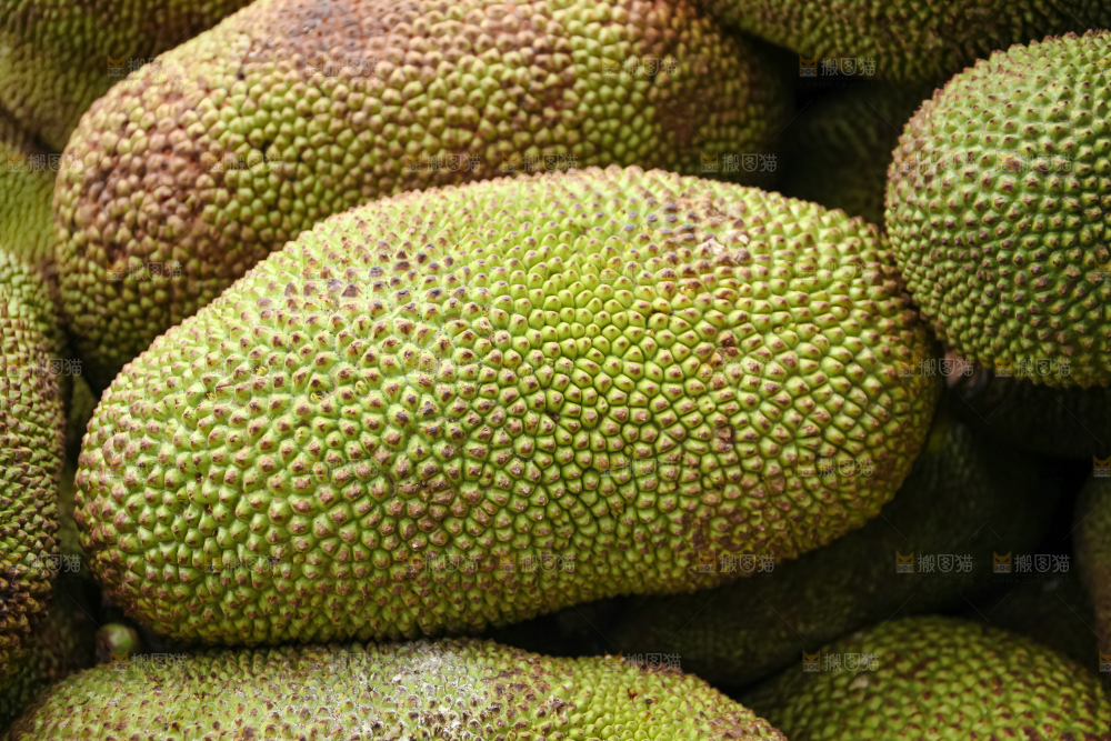 菠萝蜜