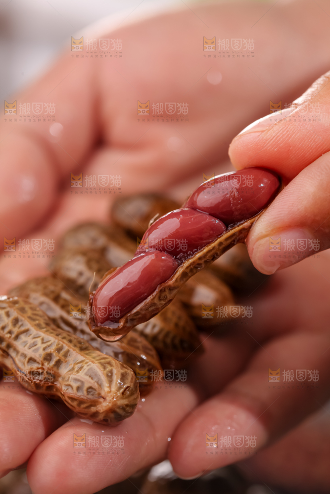 卤花生